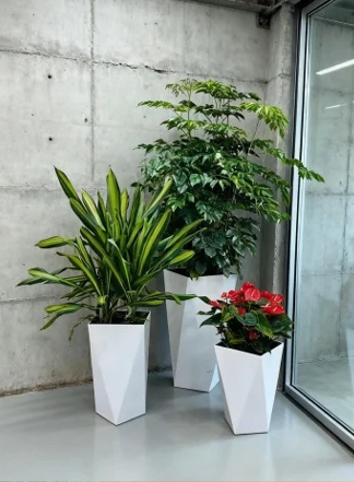 奉化绿化养护市场发展八个细节，决定效果